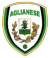 logo Aglianese